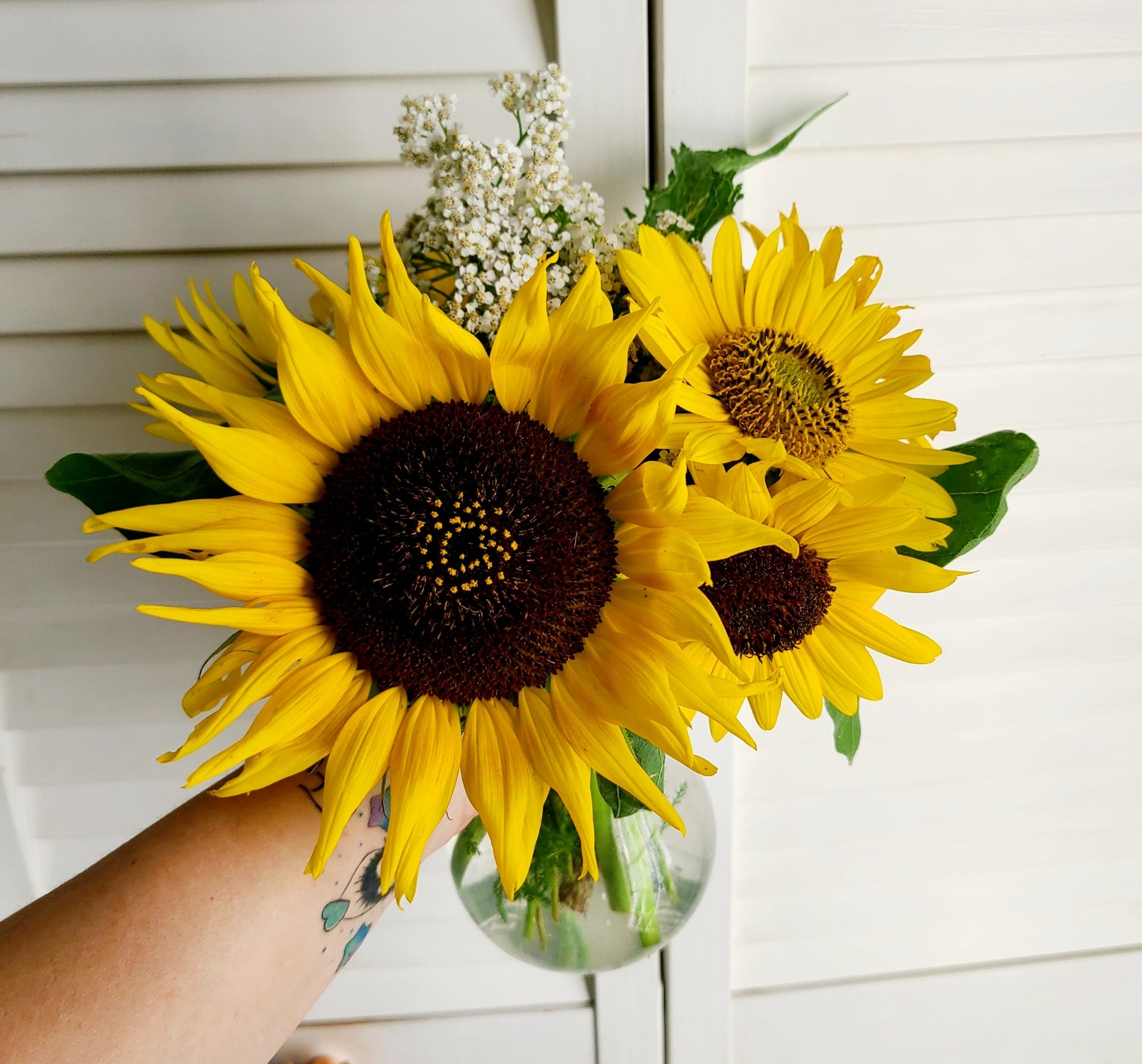 Sunflower Pick Up/Delivery