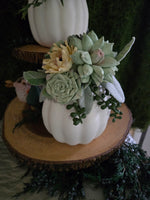 Wood Flower Succulent Pumpkin Workshop