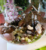 Spooky Terrarium Workshop
