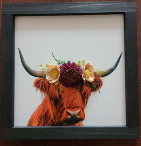 Highland Cow Wall Sign