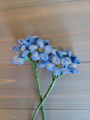 Forget-me-not Single Stem