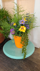 Easter Pansy Sola Flower Centerpiece