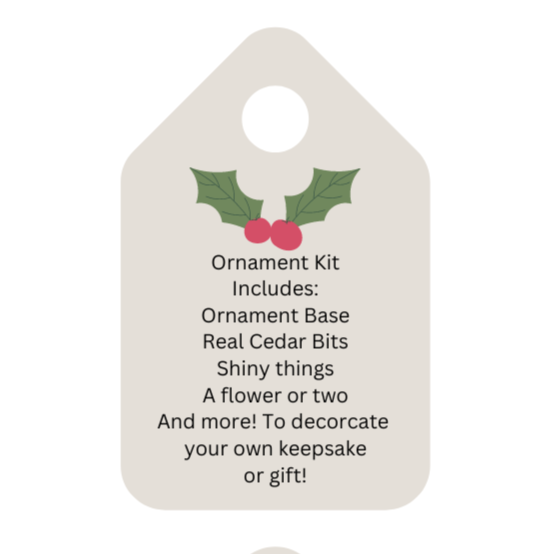 Ornament Craft Kit
