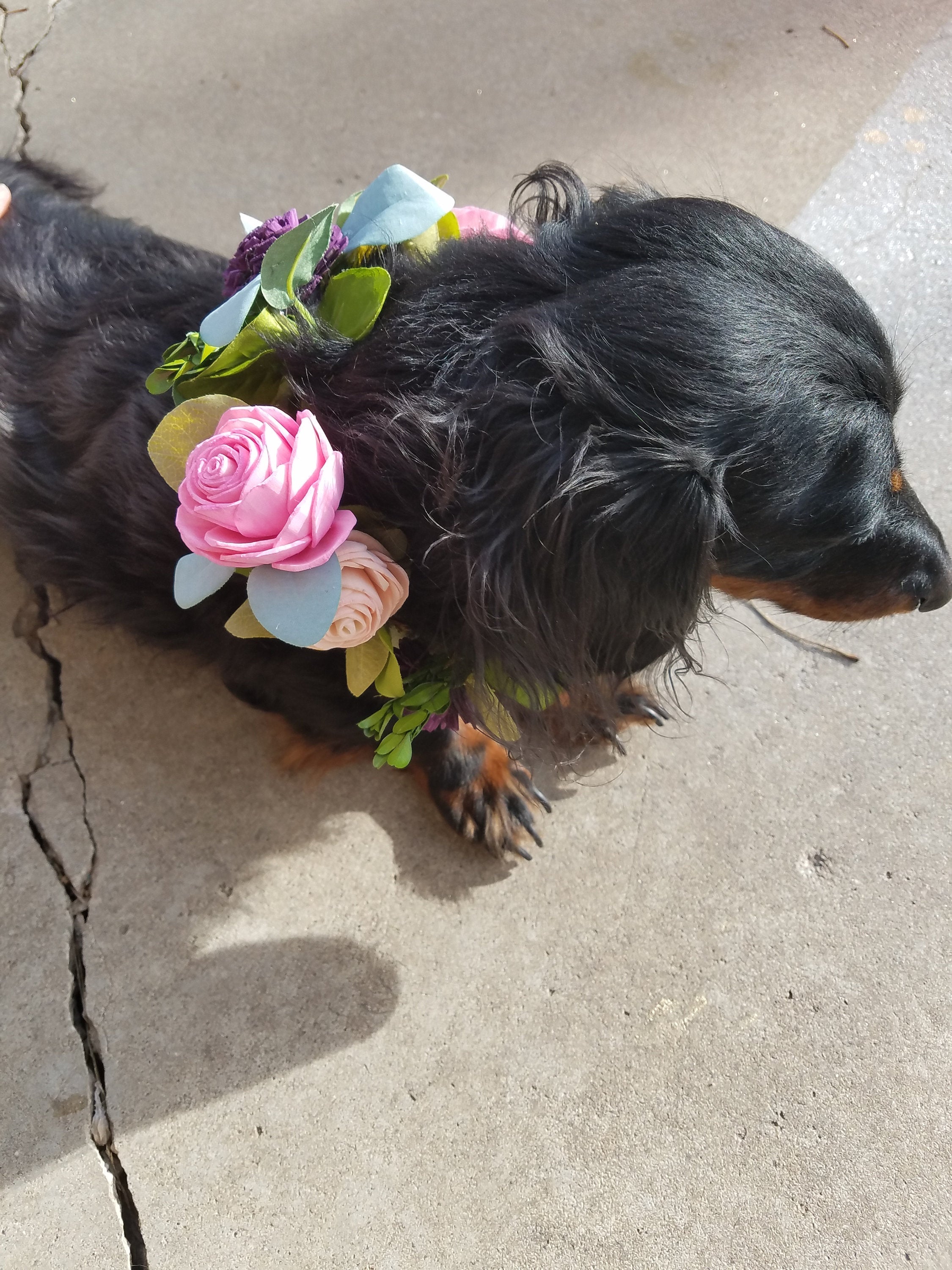 Dog Flower Wreath