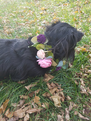 Dog Flower Wreath